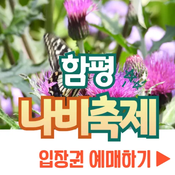 함평나비축제 예매