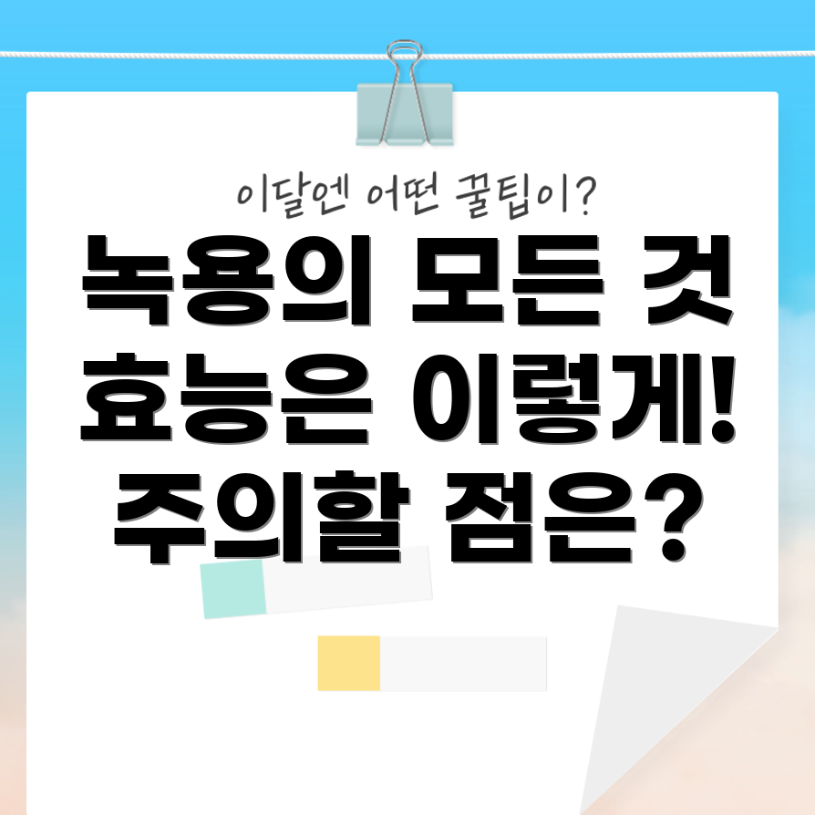 녹용의 효능