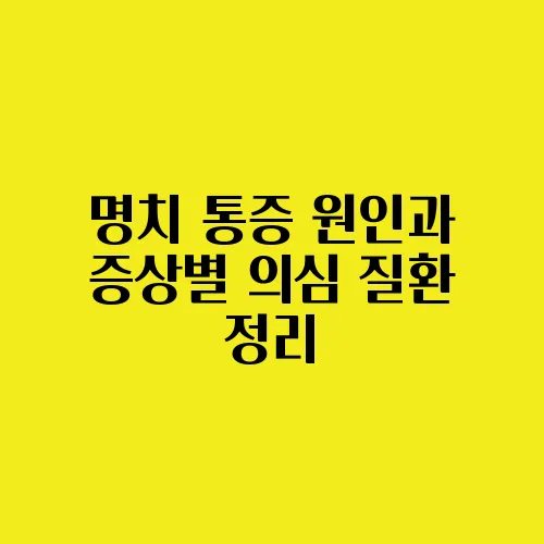 명치 통증 원인과 증상별 의심 질환 정리