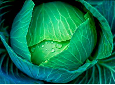 간 해독에 좋은 음식 BEST 5