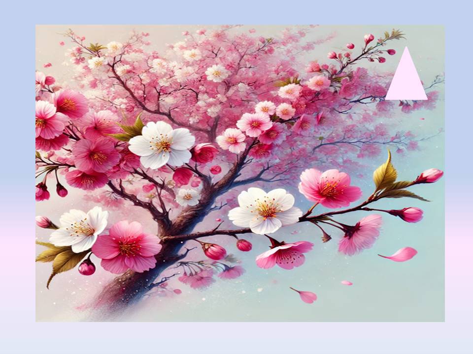 목포 벚꽃 명소 추천