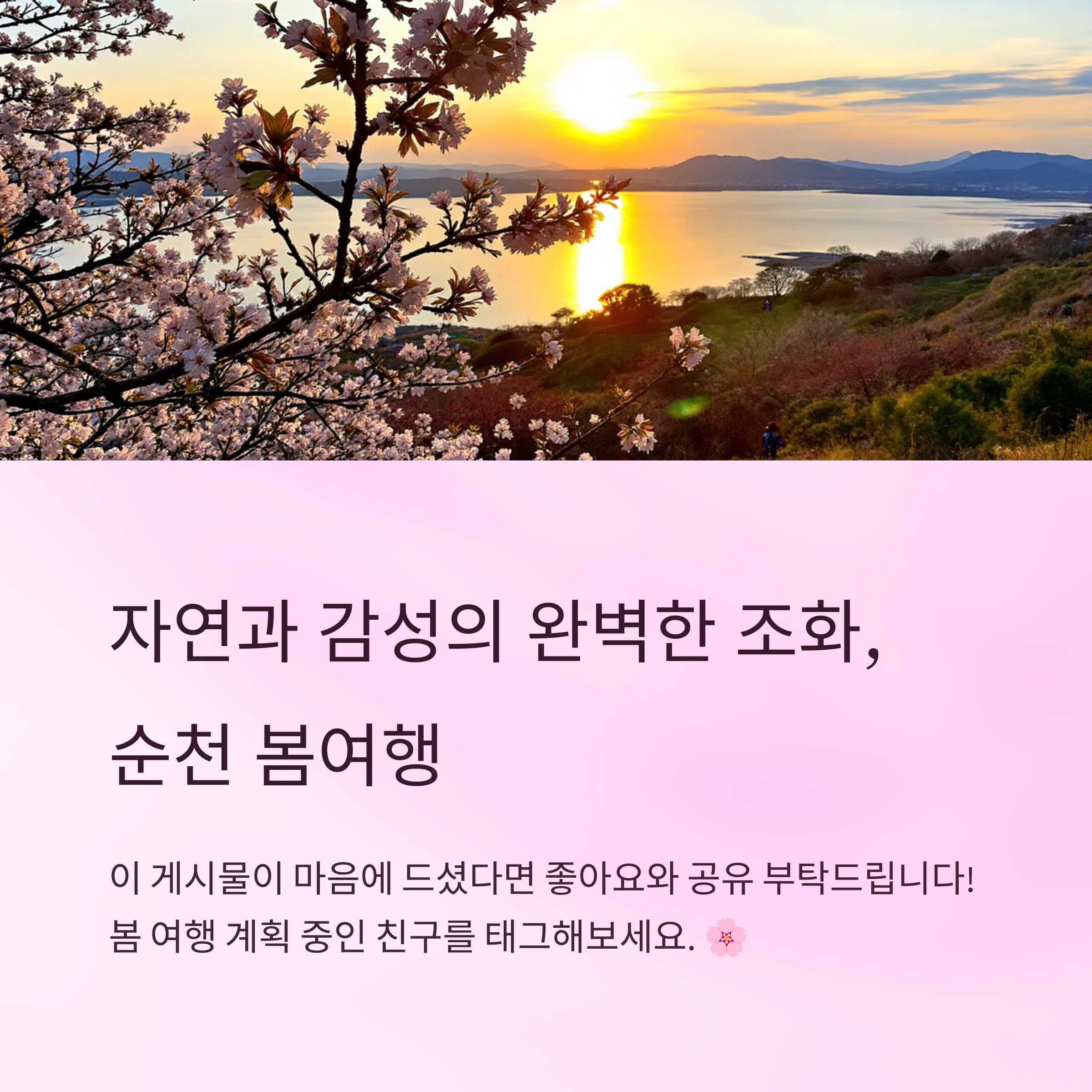 자연과 감성의 완벽한 조화, 순천 봄여행 사진