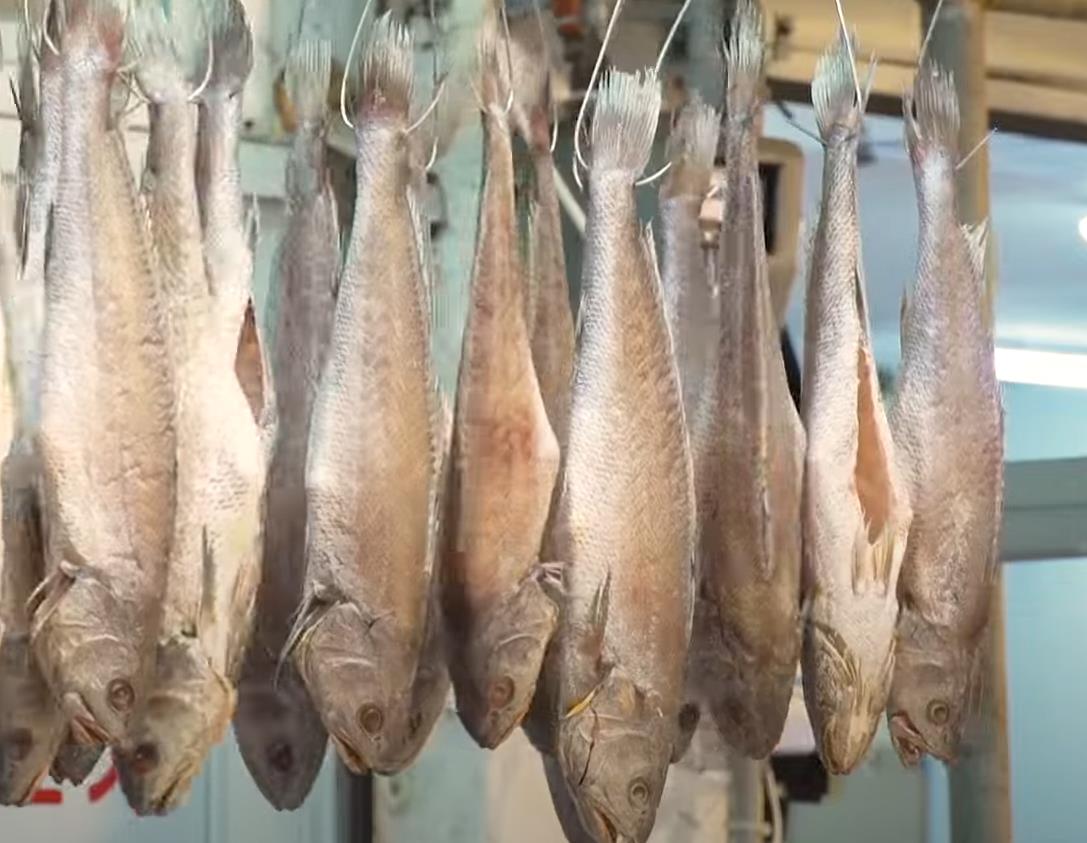 6시내고향 궁평항해오름시장 반건조생선 간장게장 반건조민어