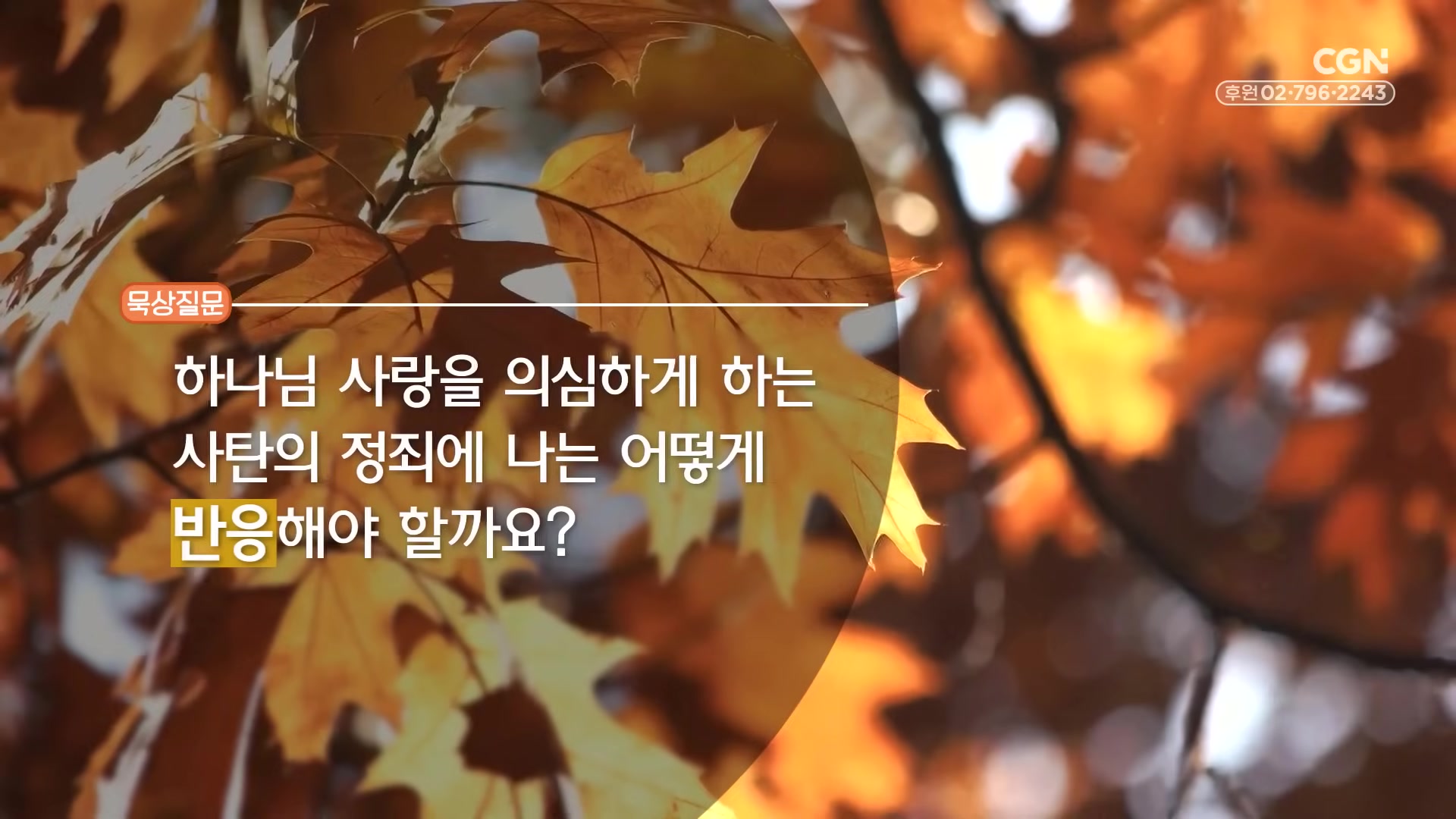 하나니 사랑을 의심하게 하는 사탄의 정죄에 나는 어떻게 반응해야 할까요?