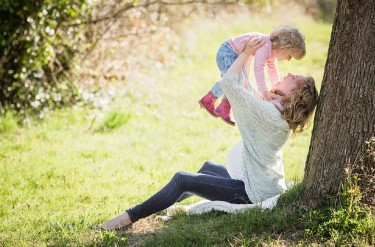 지역가입자 건강보험료
