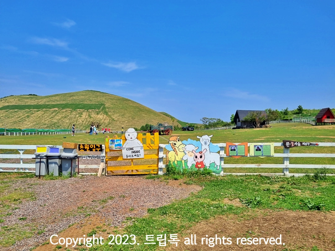 노란 울타리의 초원과 새별오름