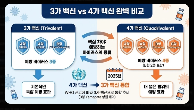 독감 백신 3가 4가 차이