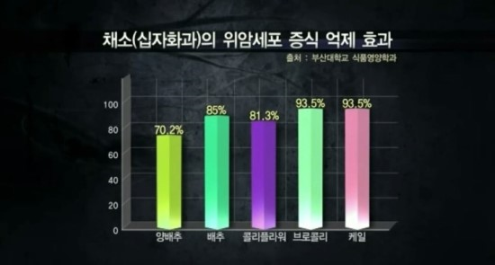 케일-항산화-작용과-해독-효과가-뛰어난-최고의-슈퍼푸드