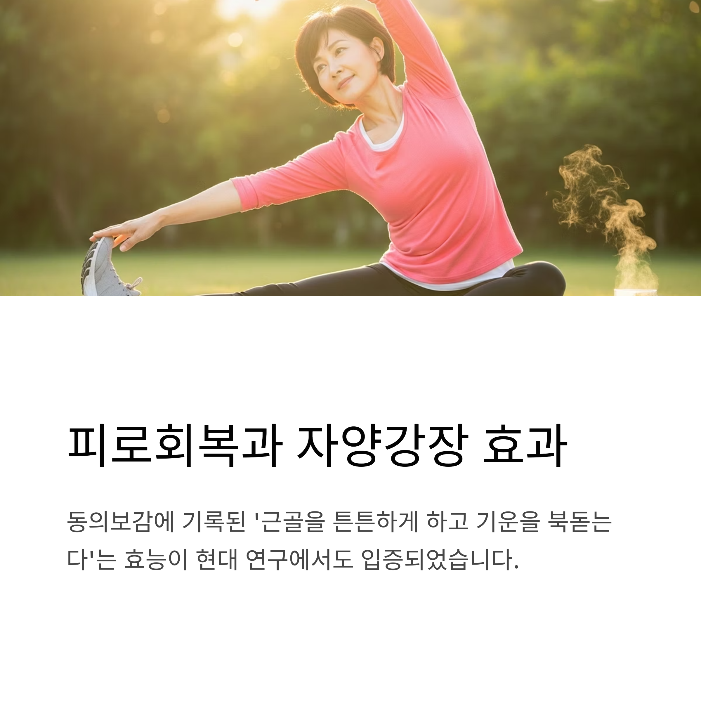 피로회복과 자양갈장 효과