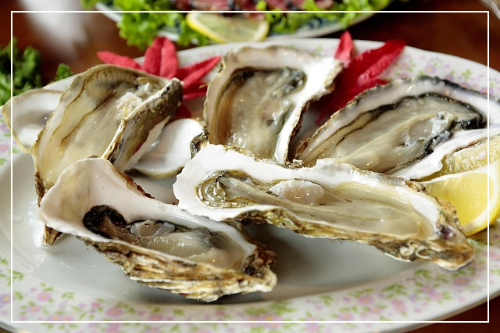 아연 영양적 특징