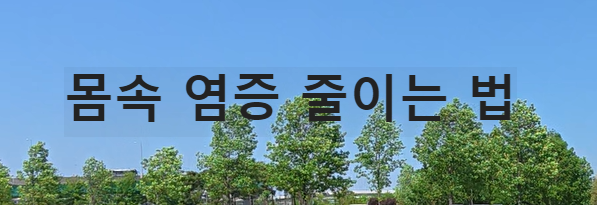 Alt 속성 문제 해결 설명 이미지