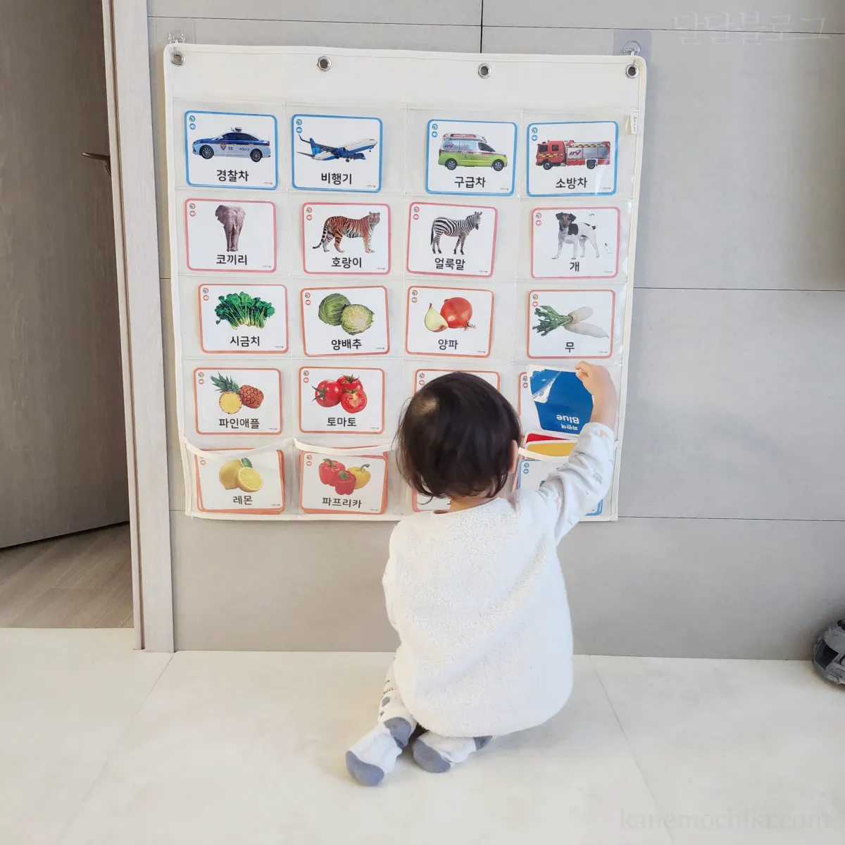 아이-낱말카드정리-포켓