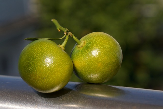 농식품-바우처-신청-사용처-대상-2025