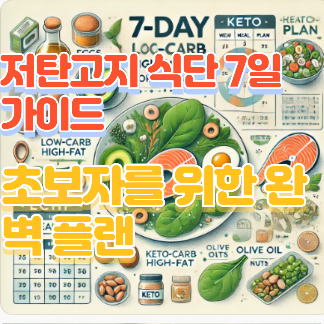 저탄고지 식단 7일 가이드: 초보자를 위한 완벽 플랜