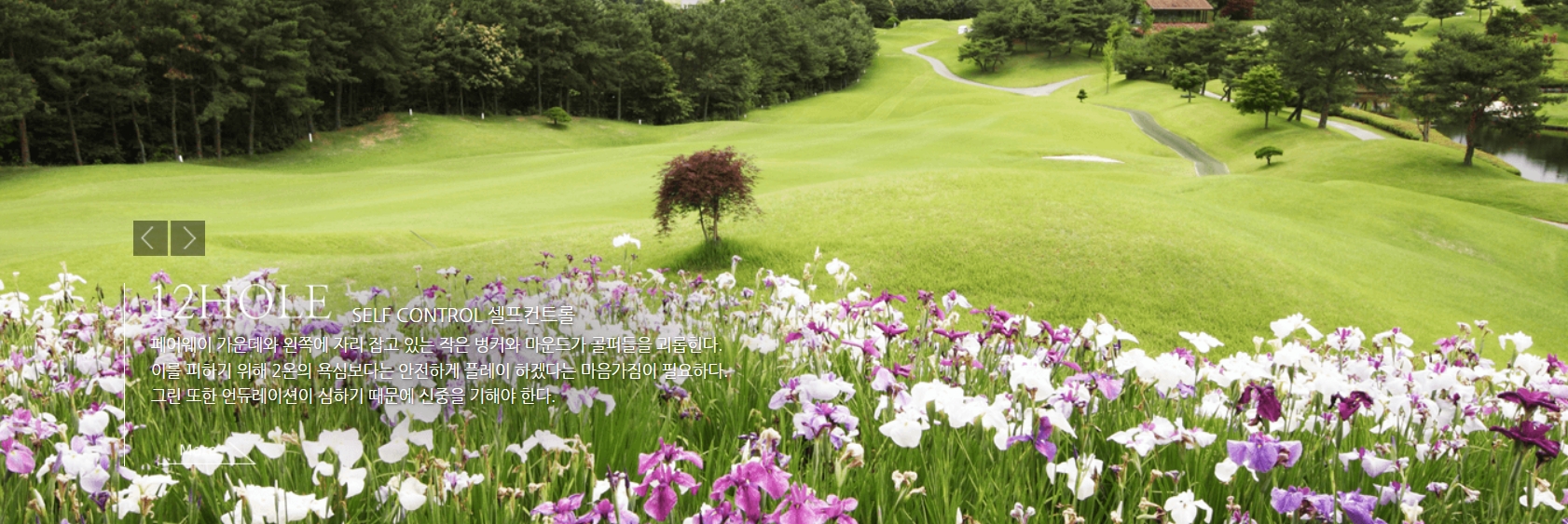 우정CC 골프장 예약, 고수들만 아는 꿀팁 대공개!