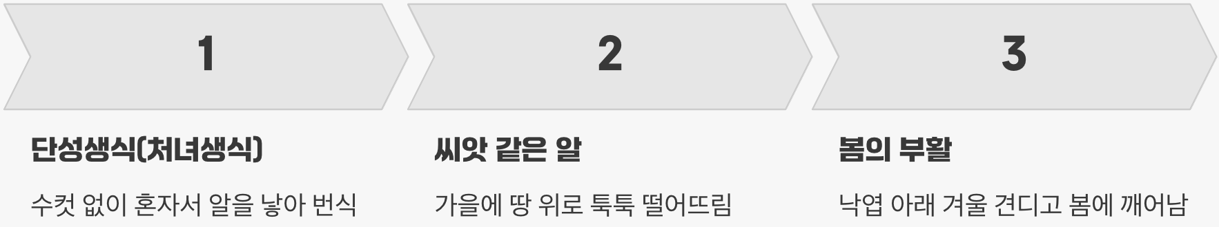 아빠 없이도 태어나는 아기들