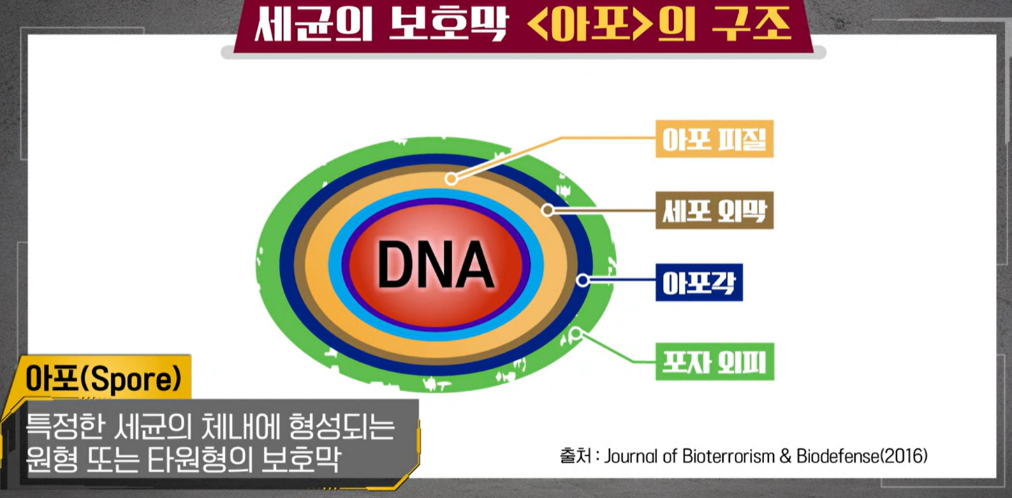 낙산균효능