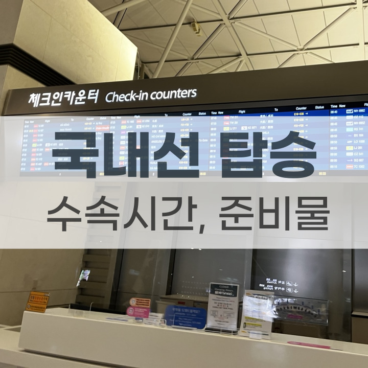 국내선 비행기 탑승시간 및 준비물 포스팅