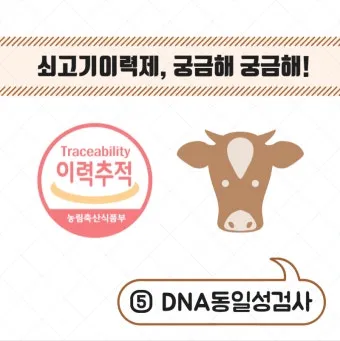 축산물품질평가원 축산물 이력제 확인 방법 조회 절차_17