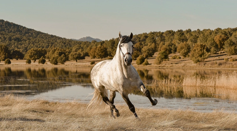 야간작업, 안전수칙과 효율적 운영