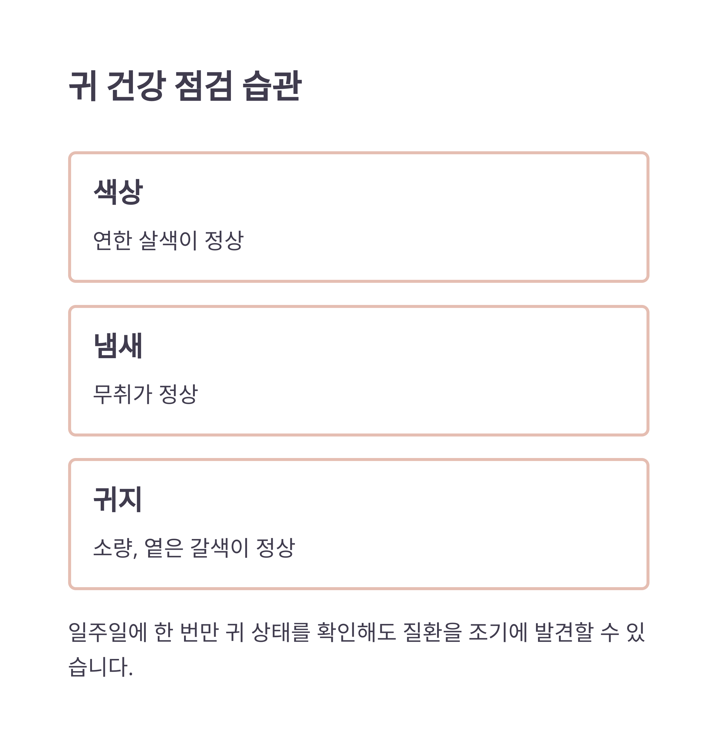 귀 건강 점검 습관