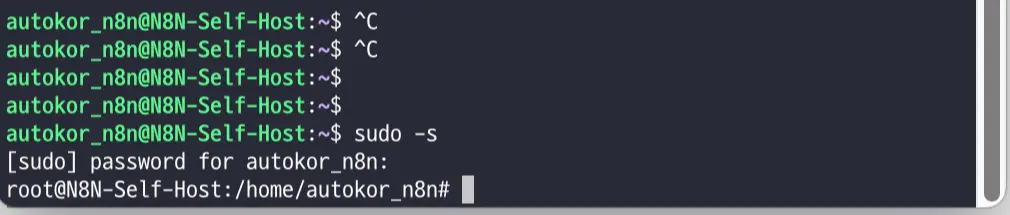 sudo 권한 확인 화면