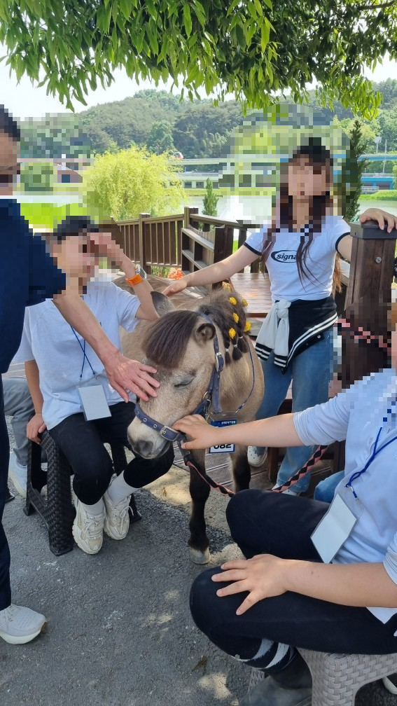 순천만국가정원 미니말 체험