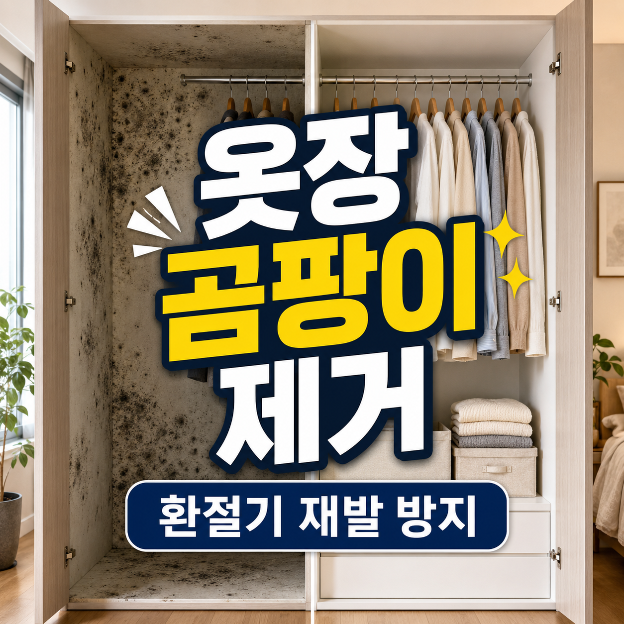 옷장 곰팡이 제거