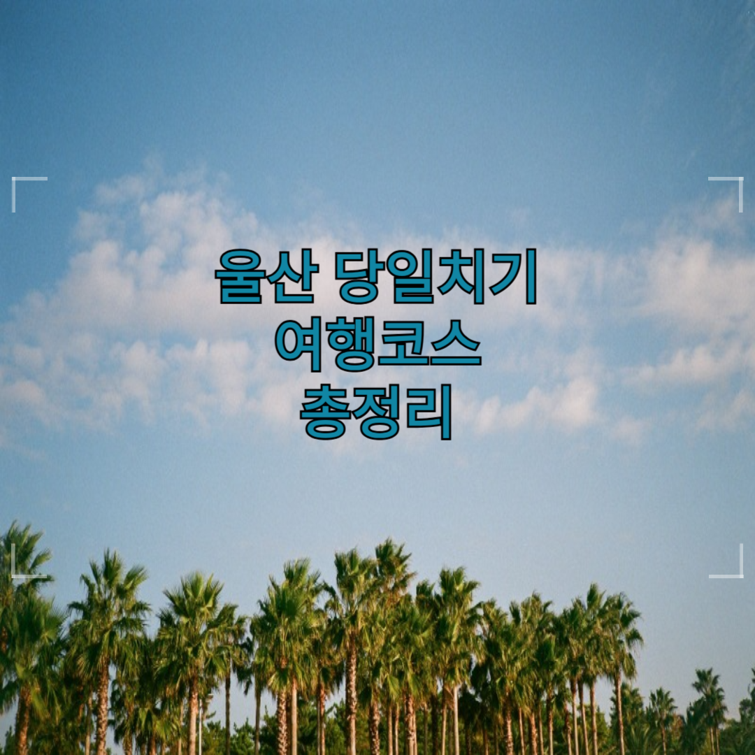울산 당일치기 여행코스