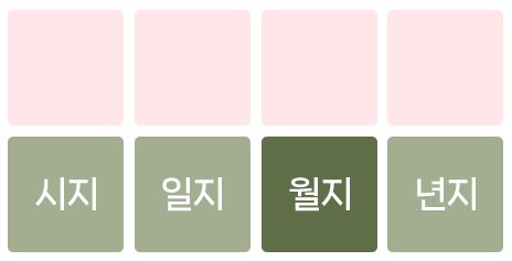 월지 장성살