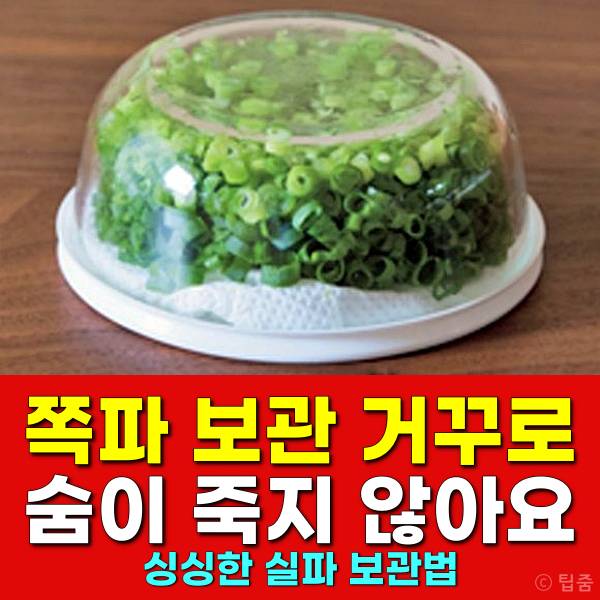 쪽파 보관법 냉장고 실파 보관법