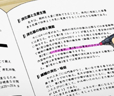 외국어 자격증, 취업에 정말 필요할까