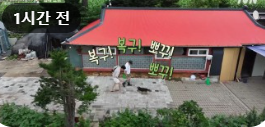임영웅 리사이틀 연말공연 콘서트 예매 취소표 예매
