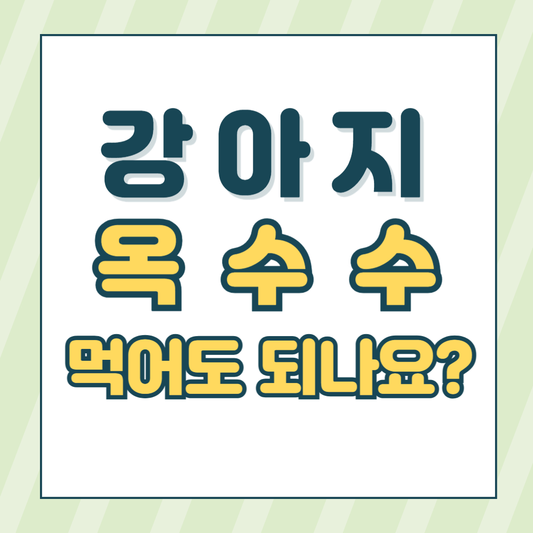 강아지 옥수수