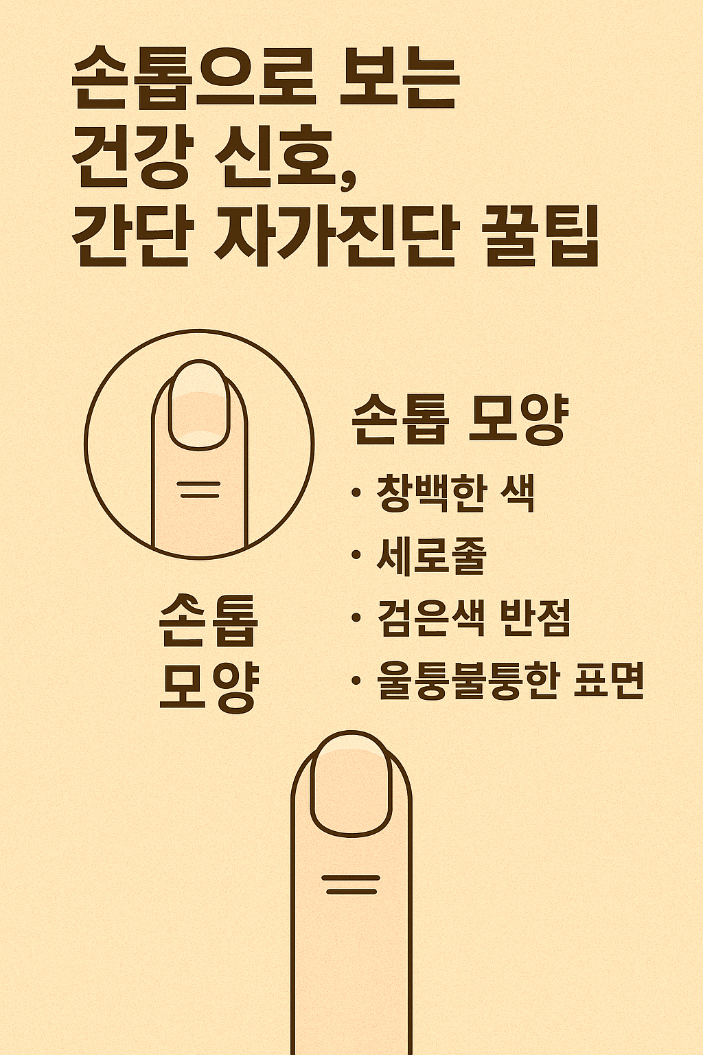 손톱으로 보는 건강 신호