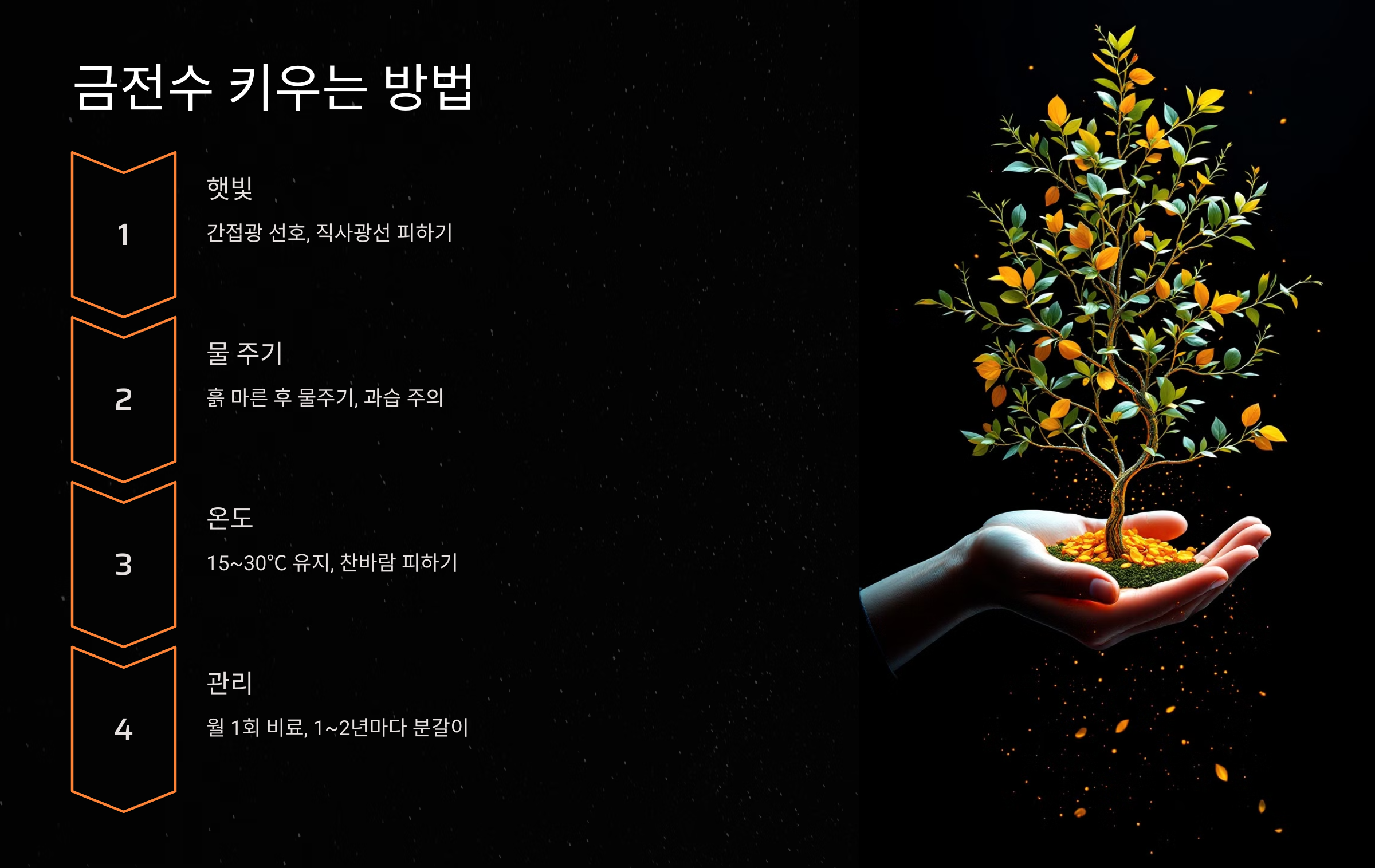 금전수 키우는 방법