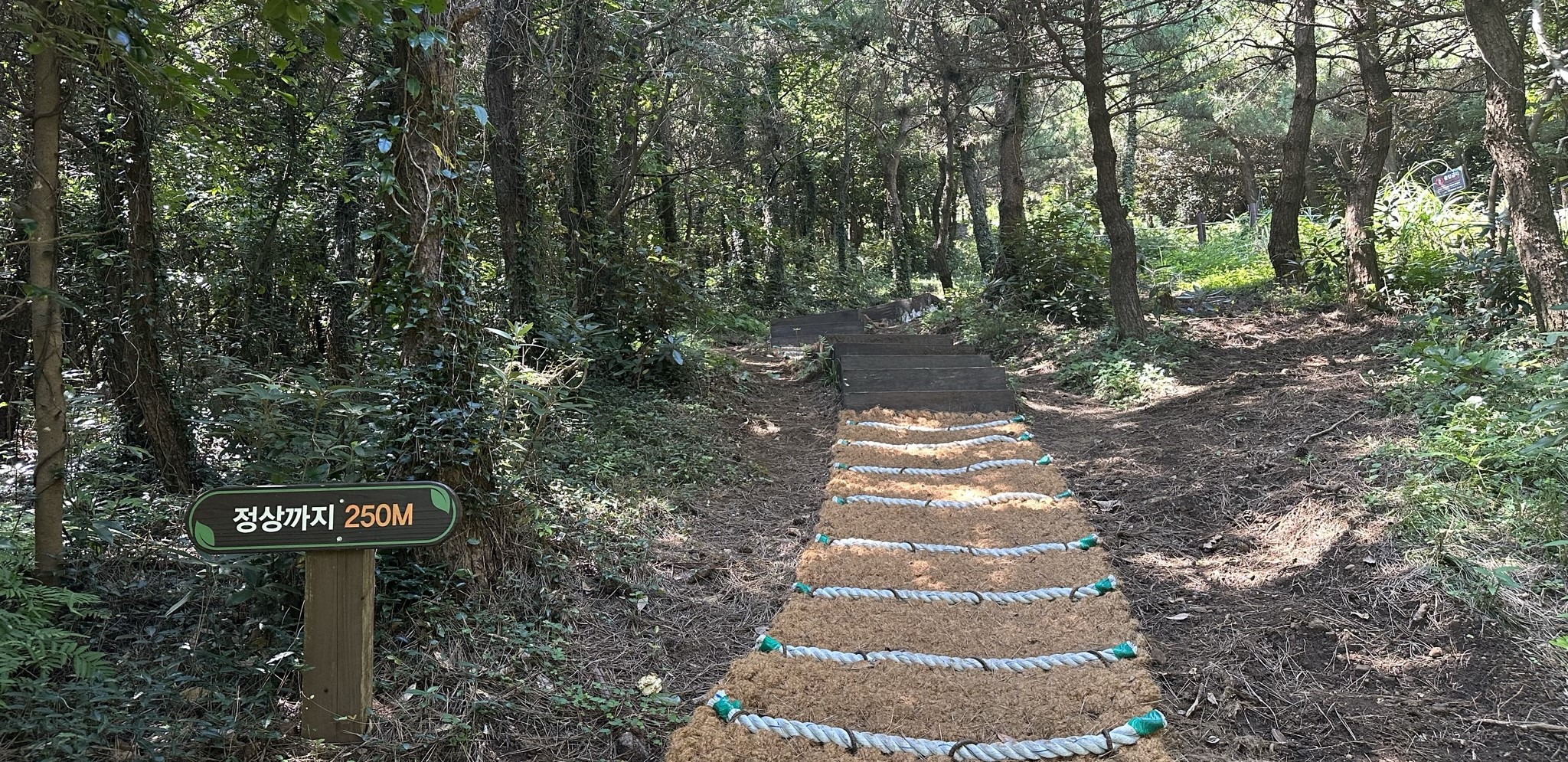 산책로