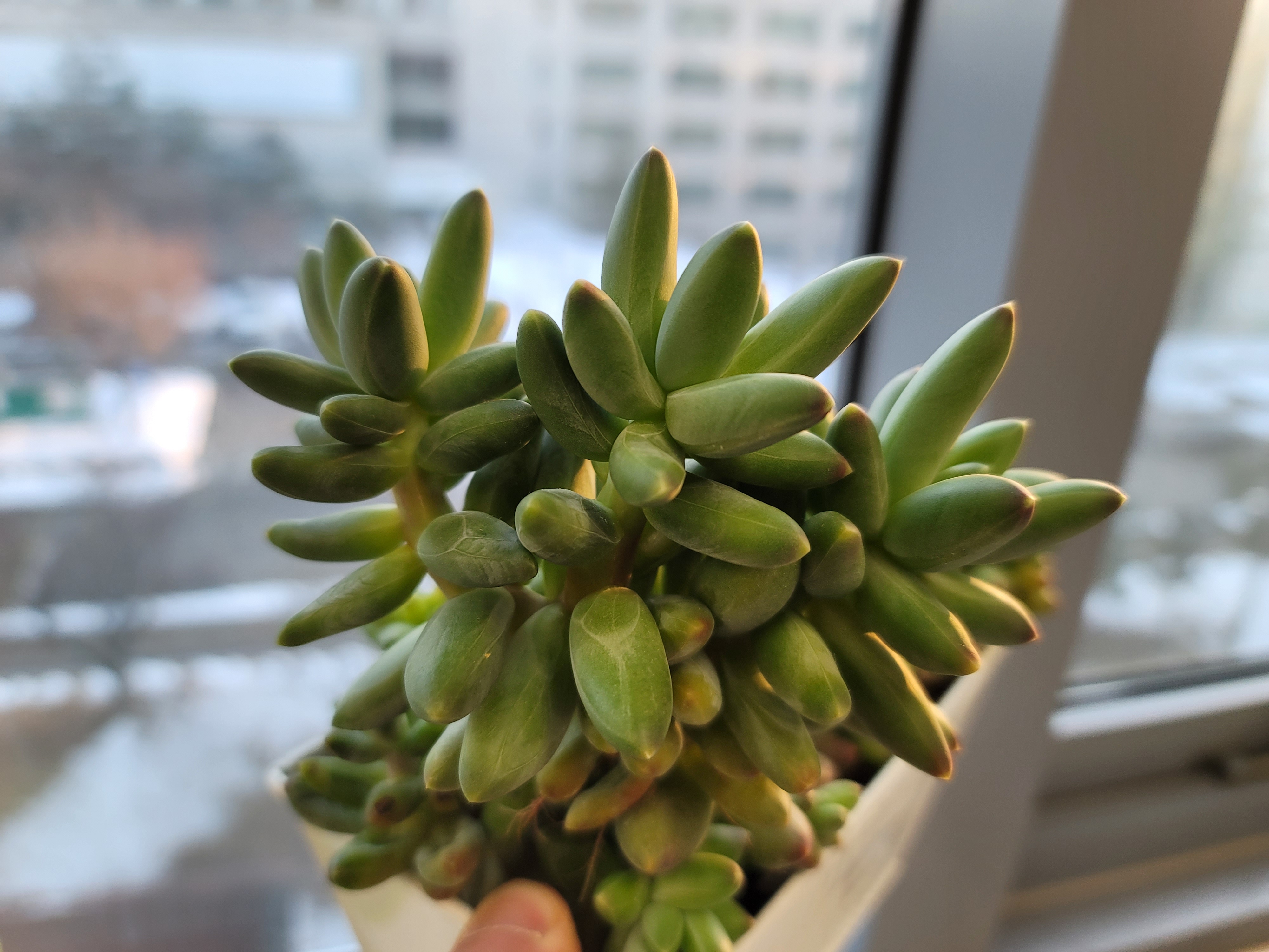 천대전송