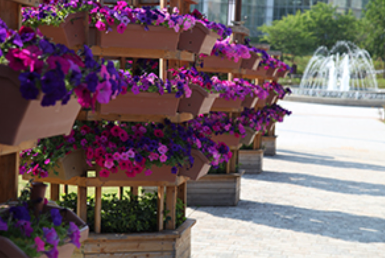 부천 자연생태공원