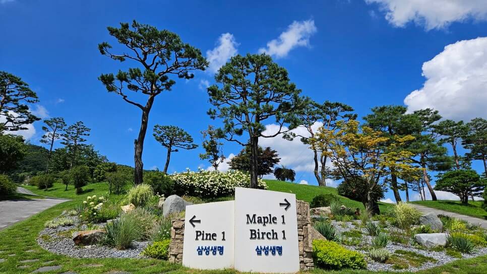 골프장 경험담 가평 베네스트cc 골프 삼성에서 운영하는 명문 골프장