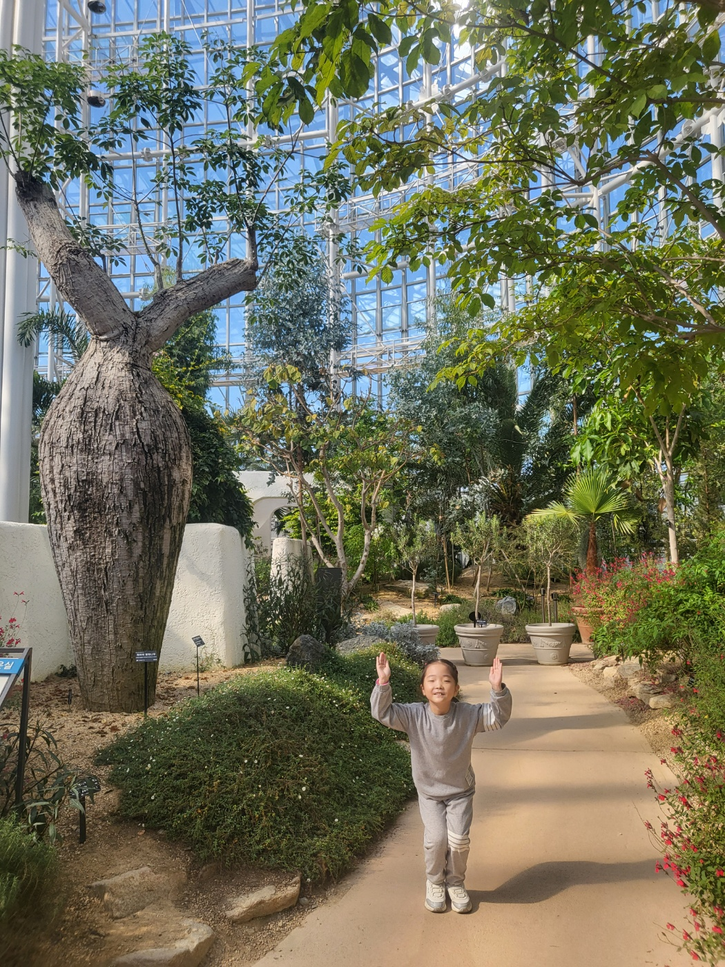 세종 아이와 가볼 만 한 곳 (세종수목원)