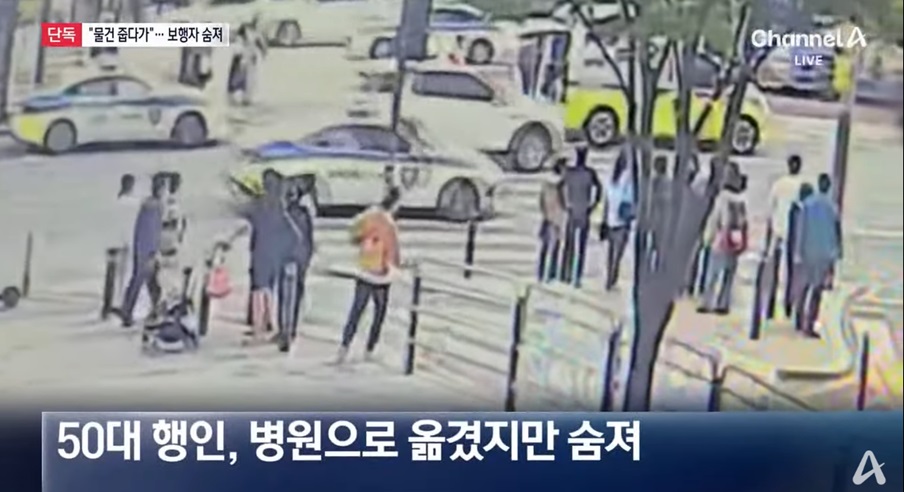 보행자 사망 사고 개요