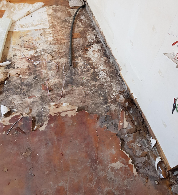 단독주택에 살던 시절 : 배관이 누수되면서 곰팡이와 이런저런 흔적들