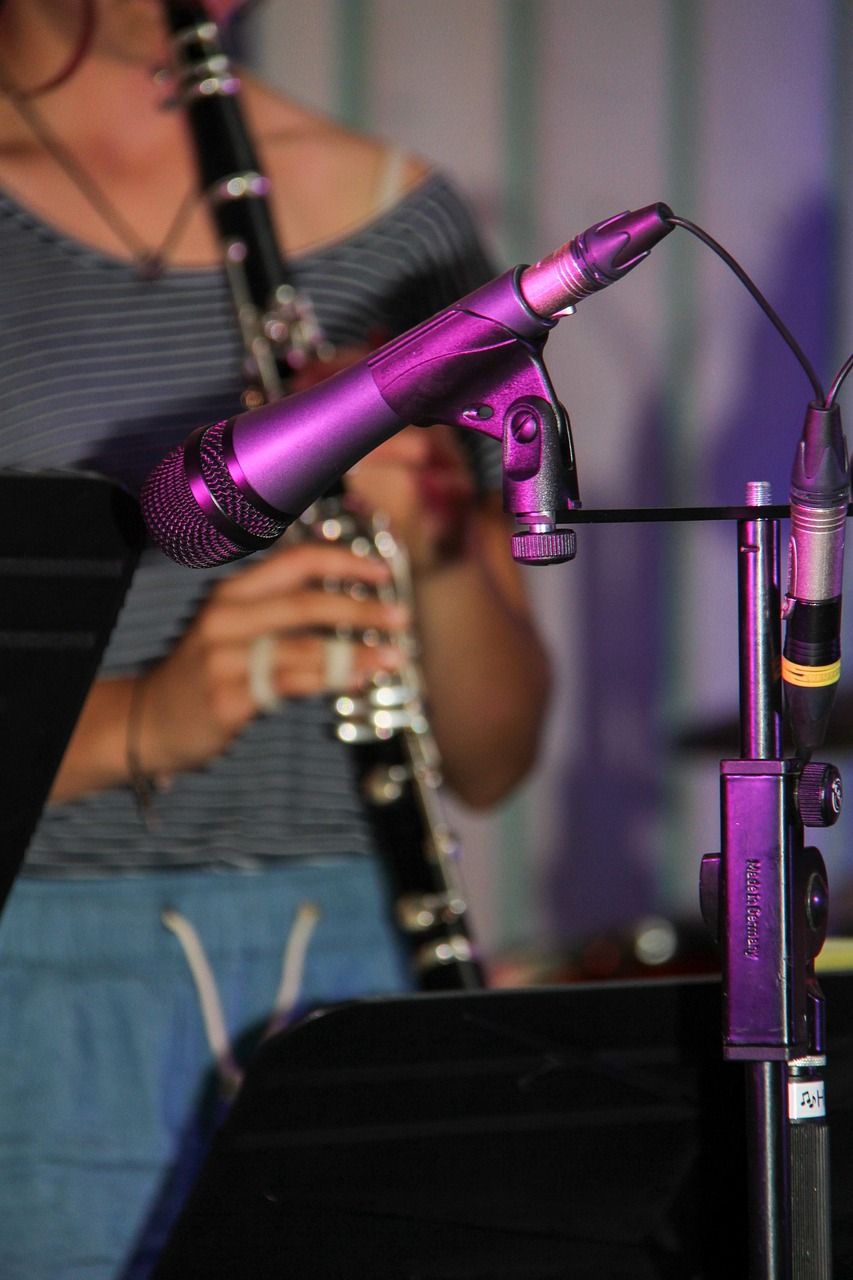 시카고 음악유학 장단점 (시카고, 예체능, 음악)