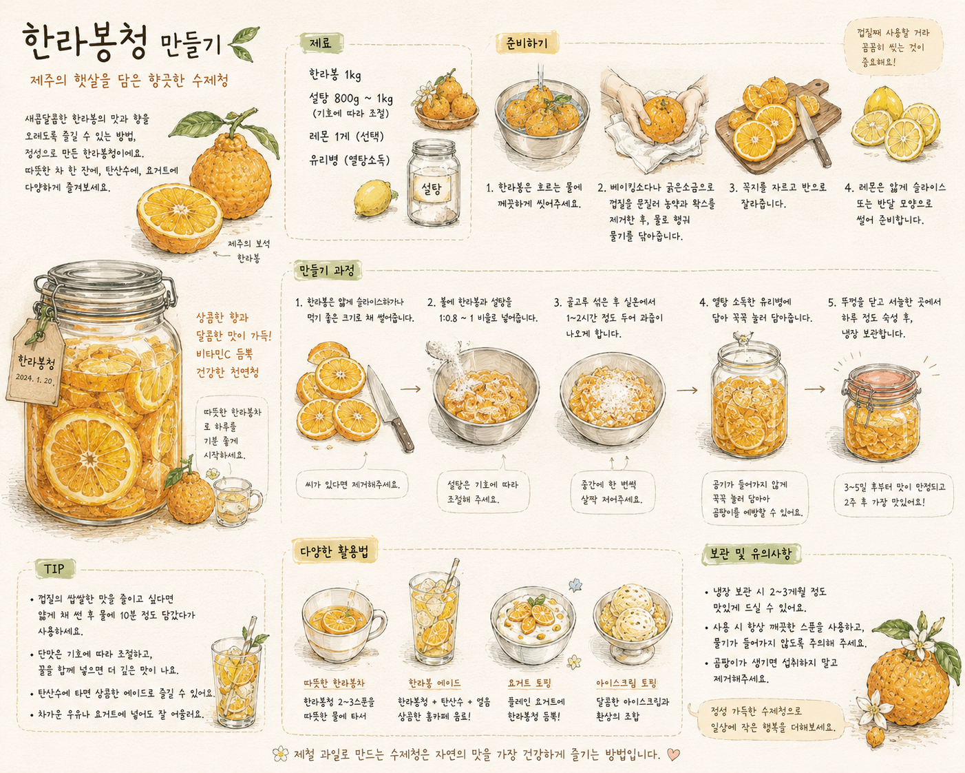 손그림 스타일로 표현된 한라봉청 만들기 과정과 유리병 속 노랗게 담긴 한라봉 슬라이스가 따뜻하게 그려진 이미지