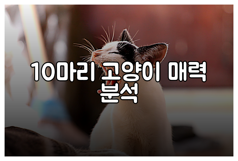 10마리 고양이 매력 분석