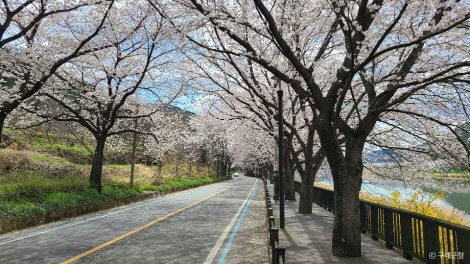 구례 가볼만한곳 베스트 10