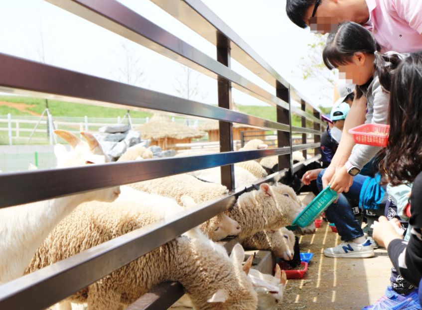 농협안성팜랜드