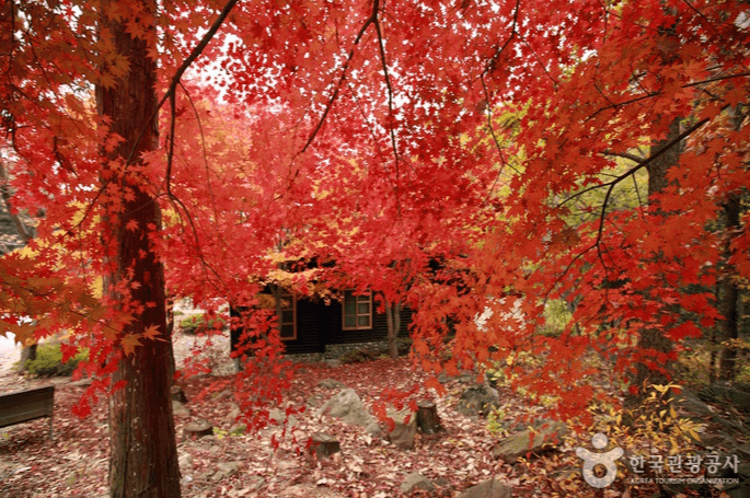 국립 방장산 자연휴양림