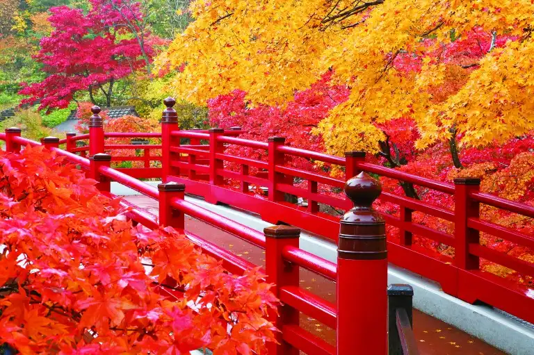 니가타 현 야히코 공원 (弥彦公園)